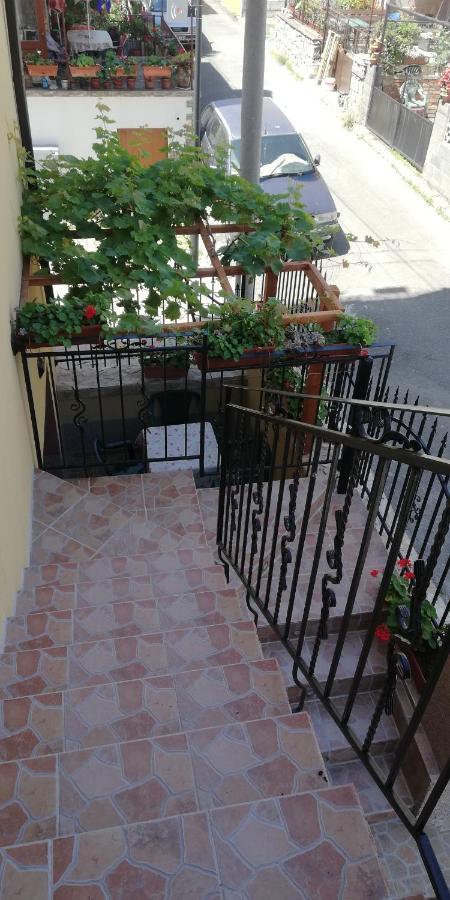 Guest House Ares سوزوبول المظهر الخارجي الصورة